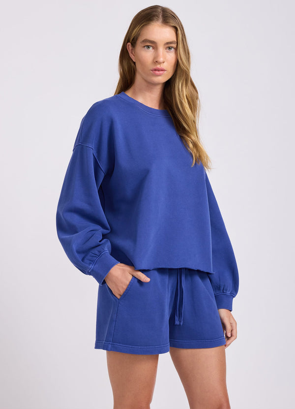Blue Indigo